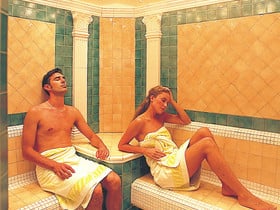 Steam room